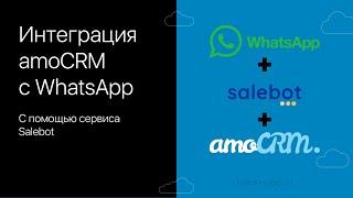 Интеграция amoCRM с WhatsApp с помощью сервиса Salebot