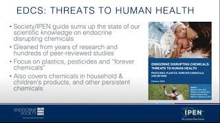 2024 Endocrine Disrupting Chemicals Report: Threats to Human Health