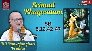 SB 8.12.42-47 || HG Pankajanghri Prabhu
