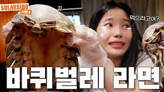 태어나서 처음 접한 바퀴벌레 라면ㄷㄷ
