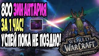 ФАРМ 800-1000 ЗИН’АНТАРИЯ В ЧАС. БЫСТРЫЙ И ЛЕГКИЙ ФАРМ ГОЛД В БФА 8.3 I World of warcraft bfa