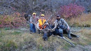 Colorado Bull Moose hunt, Casey Crookston - 2016