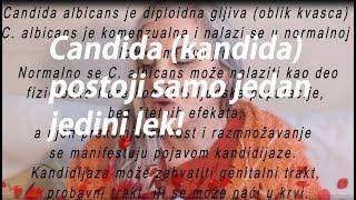 Candida (kandida) - postoji samo jedan jedini lek