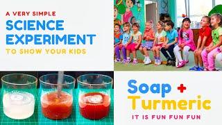 Science Fun To Show Your Kids | Soap + Turmeric