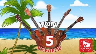 ТОП-5 Укулеле. Какой выбрать,чем отличаются, как играть?