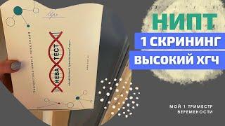 СКРИНИНГ 1 ТРИМЕСТРА. ВЫСОКИЙ ХГЧ. НИПТ МОЙ ОПЫТ.