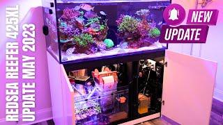 NEW Frag Tank in the Reef Tank Sump !!! RedSea Reefer Saltwater Aquarium Update #11