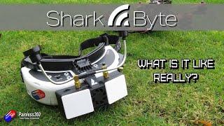 SharkByte: My considered opinion after a few weeks flying..