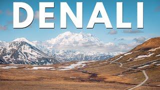 Denali National Park Guide: Green Bus Tour to Eielson Visitors Center, Grizzly Bears & More