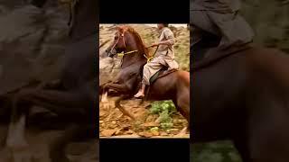 The Strongest HORSE Riders in the World! #cowboy #rek #horse #kopkari