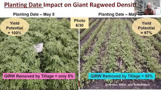 Strategic Farming: Hot topics in weed management - putting the pieces together