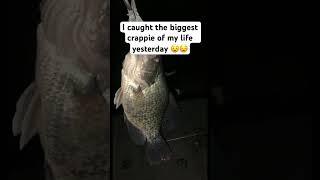 What is the BIGGEST CRAPPIE YOU HAVE CAUGHT? #outdoors #wildlife #fishing #hunting #crappie#meat
