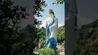 laufing buddha#love #look #shorts #trending #viralvideo #youtubeshorts #Gautam Buddha#subscribe