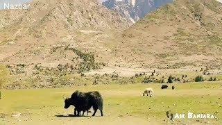 Tour De Nazbar Yasin Valley GB, Pakistan | Aik Banjara