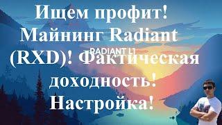 Ищем профит! Майнинг Radiant (RXD)! Фактическая доходность! Настройка!