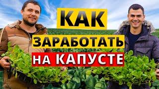 Выращивание ранней КАПУСТЫ от РАССАДЫ до УРОЖАЯ!