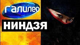 Галилео. Ниндзя  Ninja