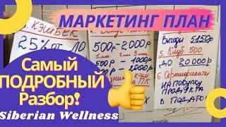 Самый ПОДРОБНЫЙ РАЗБОР Маркетинг Плана Сибирское Здоровье |Siberian Wellness Бизнес План