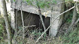 The Amber Room ‘discovered’ underground in WW2 bunker?