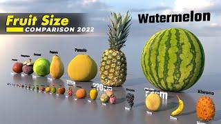 The Fruit Size Comparison 2022 | 3D