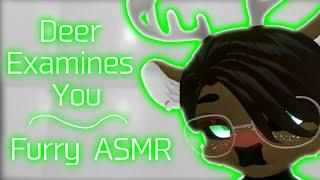 [Furry ASMR] A Deer Examines You After Getting Captured (Whispering, Face Touching)