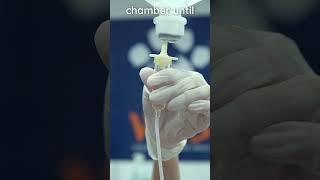 How to set up an IV line for a canine patient #veterinary #clinicalskills #vetacademy #shorts
