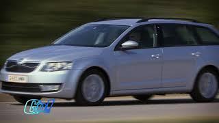 Skoda Octavia Combi 1,6 TDI Green tec | BJ 2013 | GO! Archiv