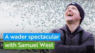 Witness a wader spectacular at RSPB Snettisham with actor Samuel West | RSPB