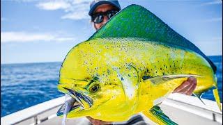 EPIC FISHING in INSANELY Clear Water! ~ One of the FASTEST Growing Fish on the PLANET!