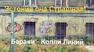 Эстония она [Страшная] Бараки Копли