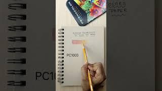 Blending Prismacolor Premier Colored Pencils on Toned Paper #colourpencil #arttutorial #prismacolor