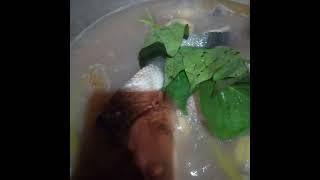 MILK FISH # shorts Eugene Ramos Vlogs