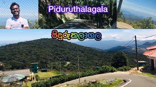 ශ්‍රී ලංකාවේ උසම කන්ද වන පිදුරුතලාගල. Piduruthalagala mountain