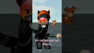 sad cat dance meme