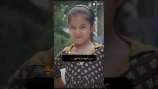 Inaya khan