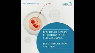 Cord Blood Banking 101 - Why Save Cord Blood