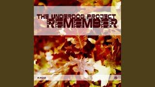 Remember (Radio Cut)