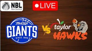  Live: Nelson Giants vs Bay Hawks | Live PLay by Play Scoreboard