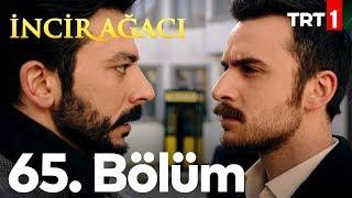 İncir Ağacı 65. Bölüm