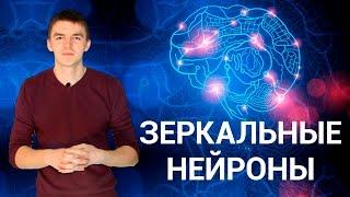 Причины поведения. Секреты зеркальных нейронов. ПОЗНАНИЕ #3