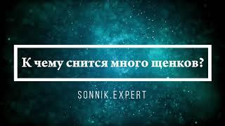 К чему снится много щенков - Онлайн Сонник Эксперт