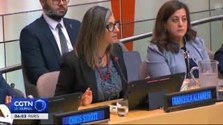 Francesca Albanese demande la suspension d'Israël de l'ONU