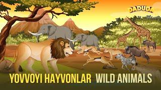 Yovvoyi Hayvonlar - Wild Animals