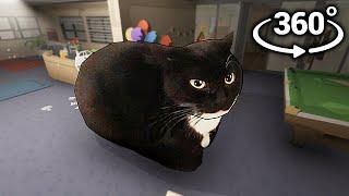 Maxwell The Cat 360° - VR Experience