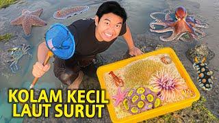 BIKIN KOLAM KECIL LANGSUNG DI LAUT SURUT DARI KONTAINER! KITA BAWA PULANG?! PANTAI MANALUSU GARUT!