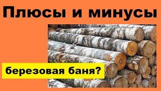 Береза в строительстве и отделке бани: плюсы и минусы