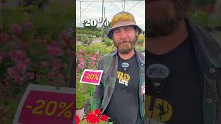 Рай для любителей роз в питомнике "ЁЛЫ ПАЛЫ"