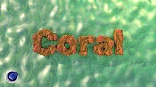 Коралловый текст в Cinema 4D (Coral 3D Text in Cinema 4D)