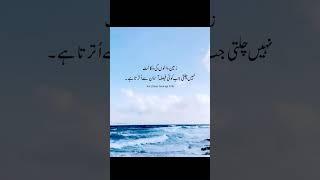 zameen walon ki wakalat nahi chalta #yutubeshorts #quotes #poetry