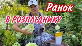 В нашому РОЗПЛІДНИКУ САДМРІЯ. Ранок.Кава.Рослини з назвами.